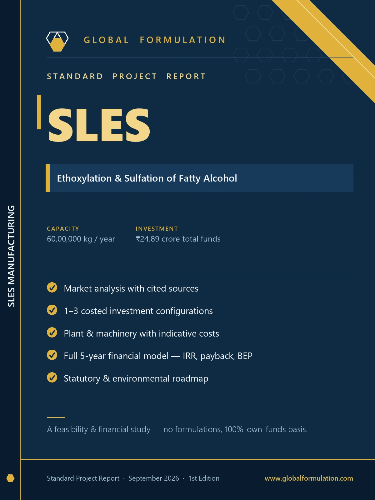 SLES Manufacturing — Standard Project Report